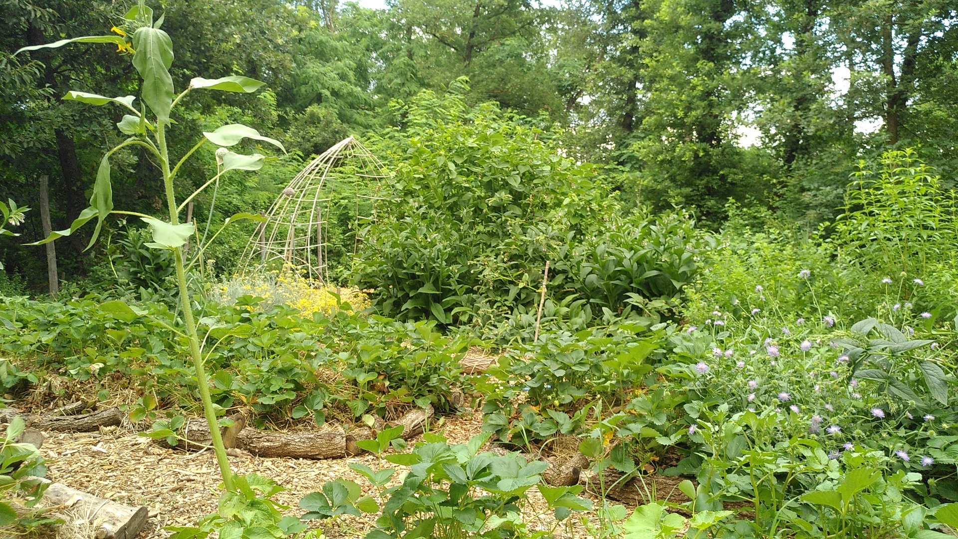 Atelier 3 Les Chemins de l'Autonomie LE BOIS DE L'UTOPIE