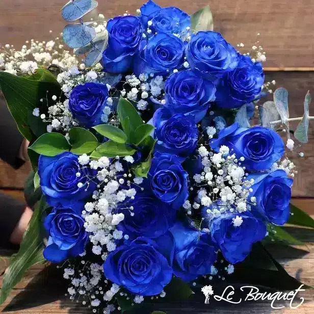 Buy Blue Roses Online in Montreal Le Bouquet Florist