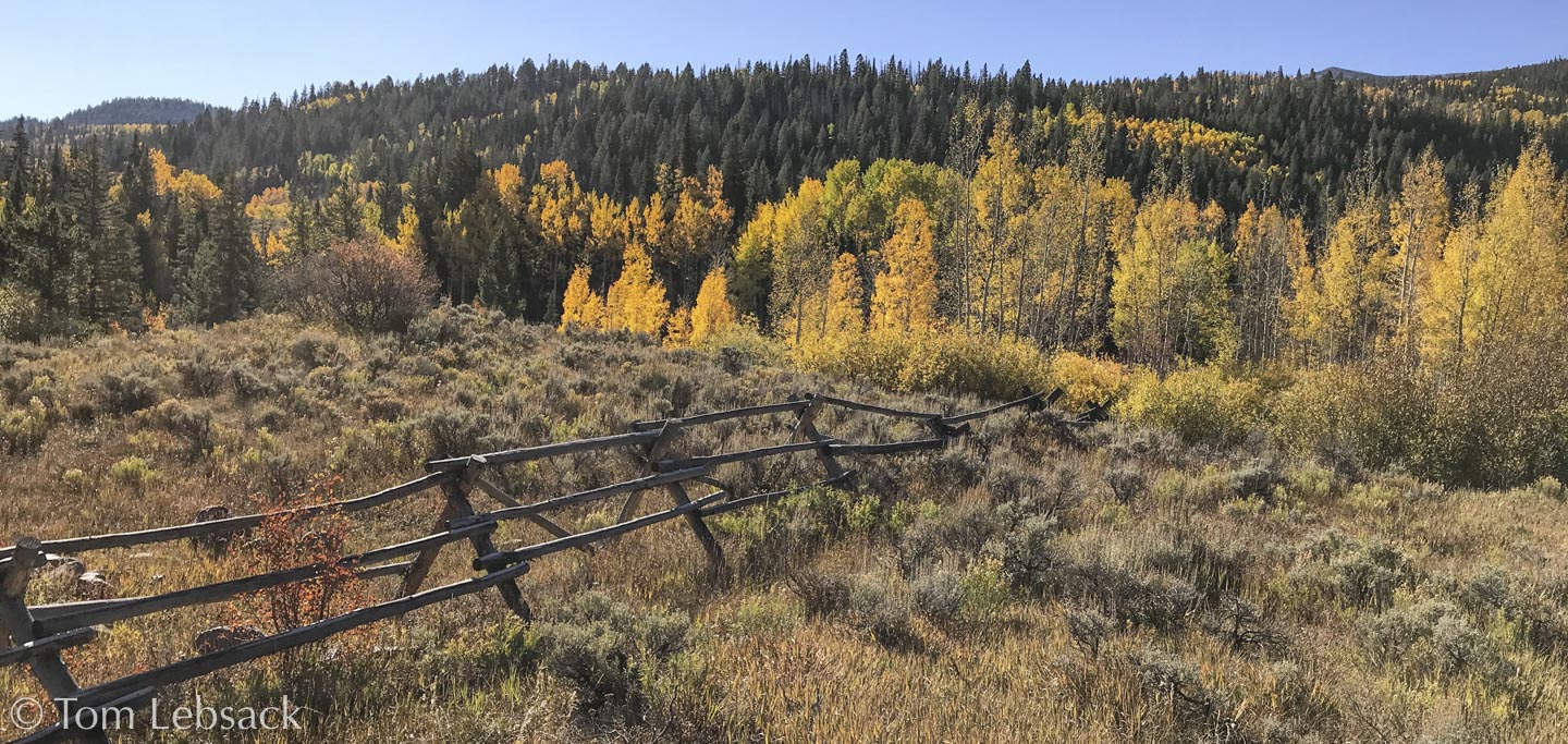 French Gulch 0057 Colorado Scenes
