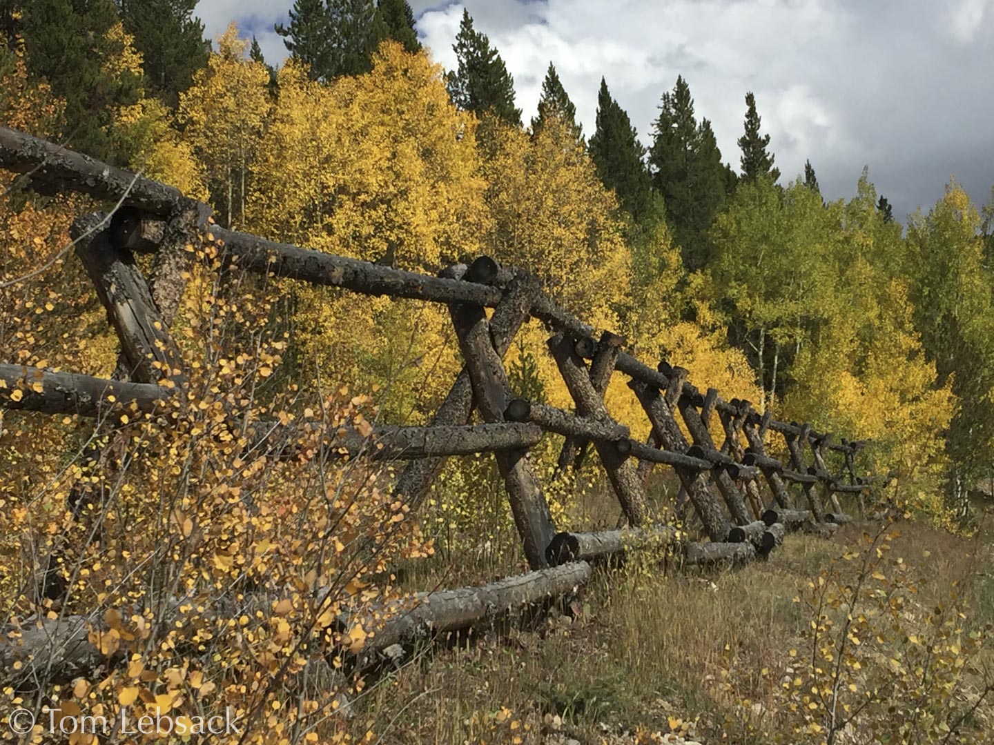 French Gulch 1653 Colorado Scenes