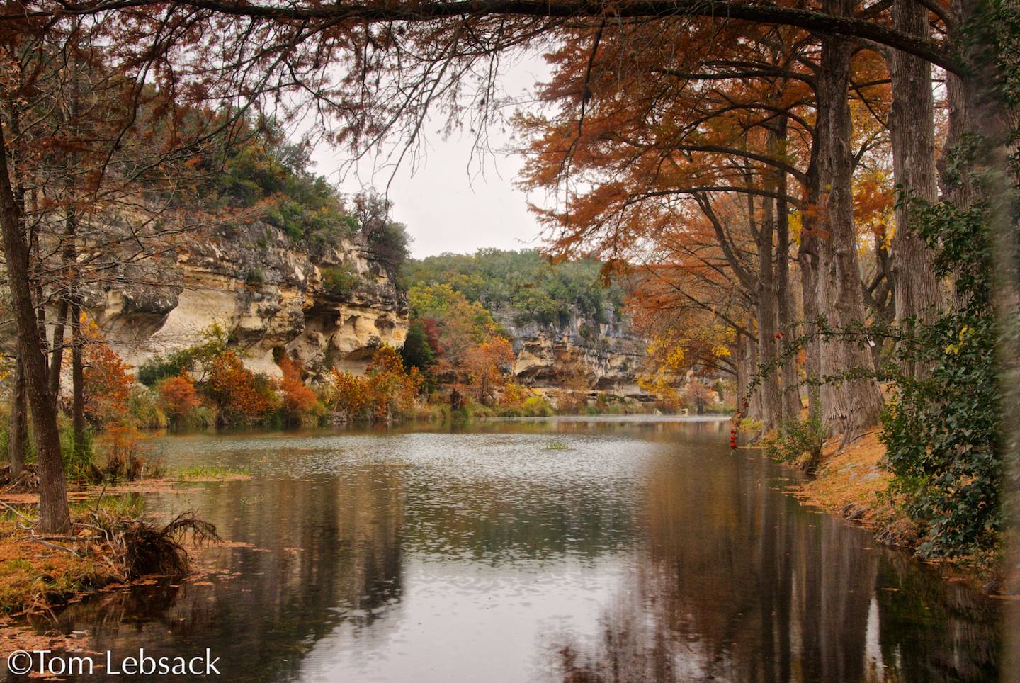 Guadalupe River_1630 Texas Scenes