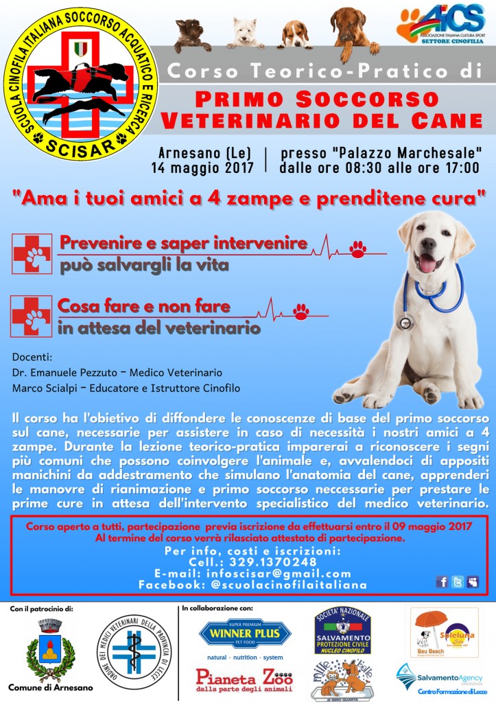 Un Corso Di Primo Soccorso Per Il Cane : Leccecronaca.it 1024_x_723_jpg
