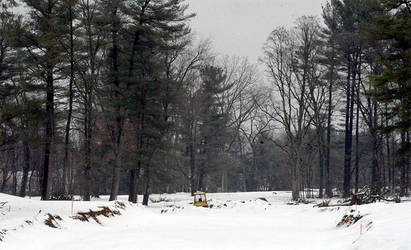 Whispering Pines senior housing approved in 41 Rotterdam vote Lecce