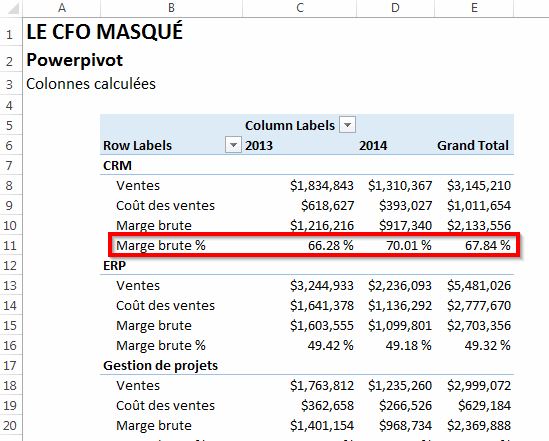 PowerPivot Colonnes et champs calculés en DAX Le CFO masqué
