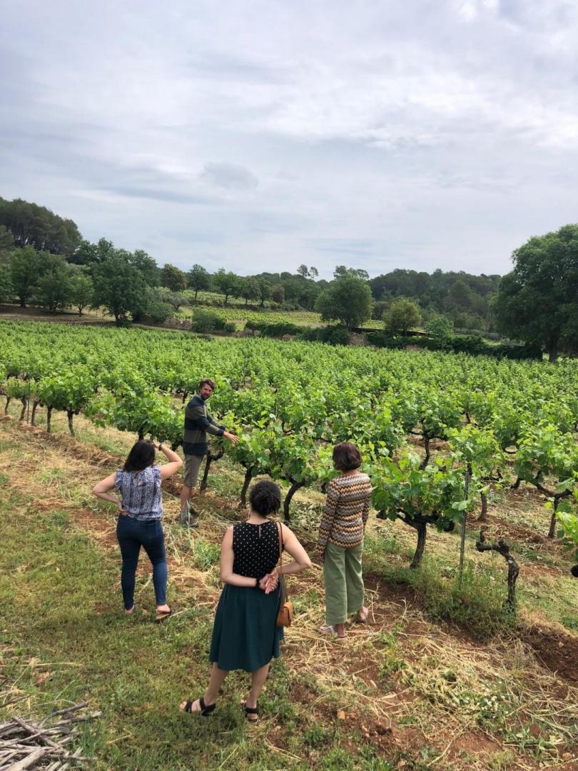 Visites du domaine viticole SaintAntoninduVar, Draguignan,