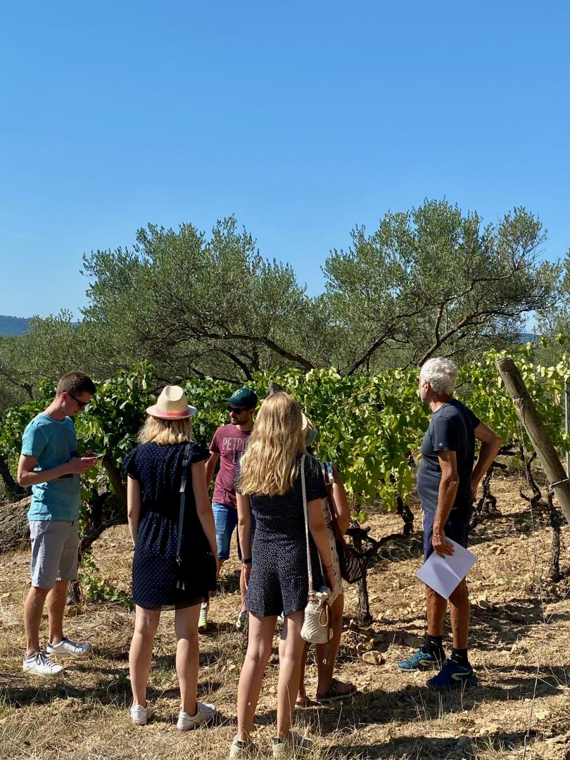Visites du domaine viticole SaintAntoninduVar, Draguignan,