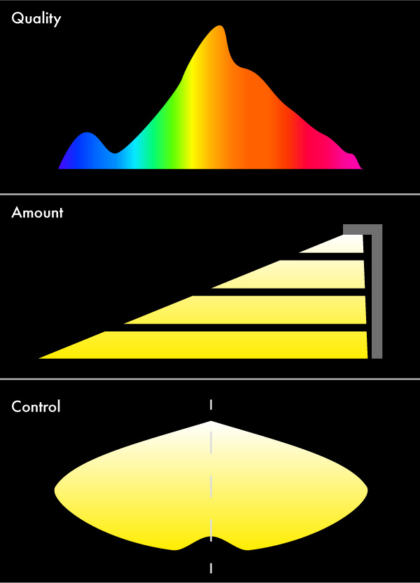 See the stars in the centre of the city How to reduce light pollution in urban environments
