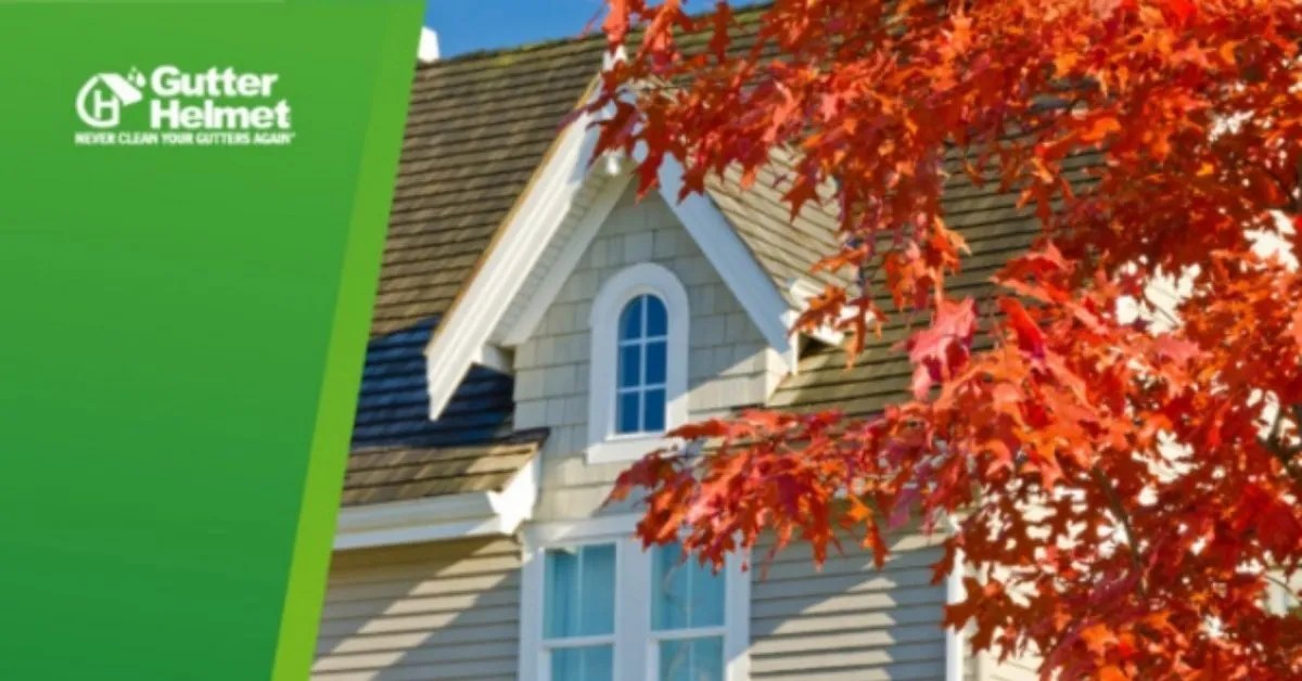 Can Nearby Trees Damage your Gutters? How to Protect your Home