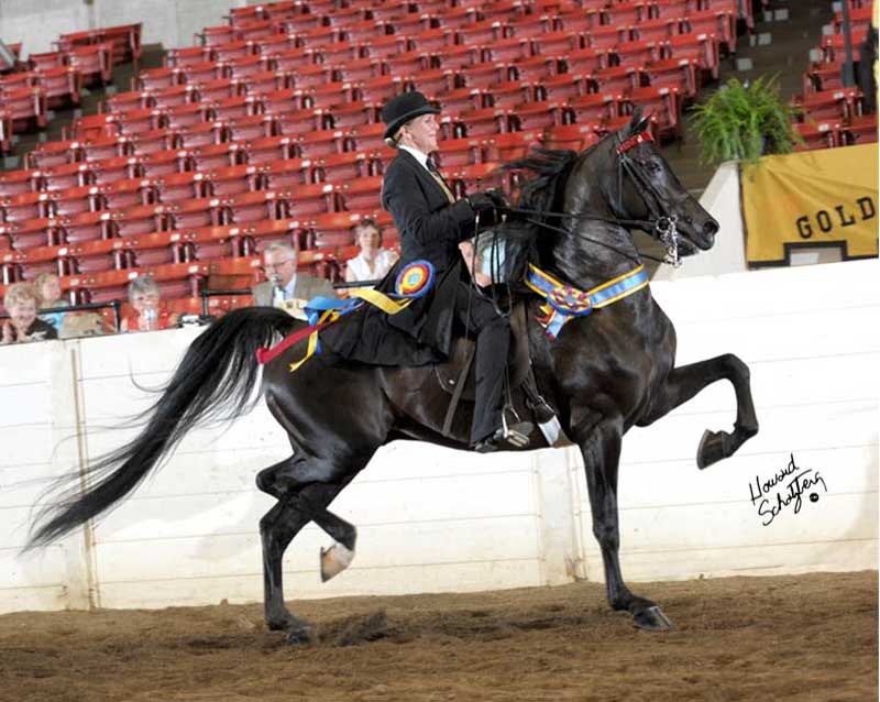 Man in Black Ledyard Farms