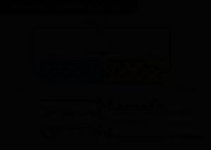 A Comprehensive Guide to Light-Emitting Diodes (LEDs) - LEDYi Lighting