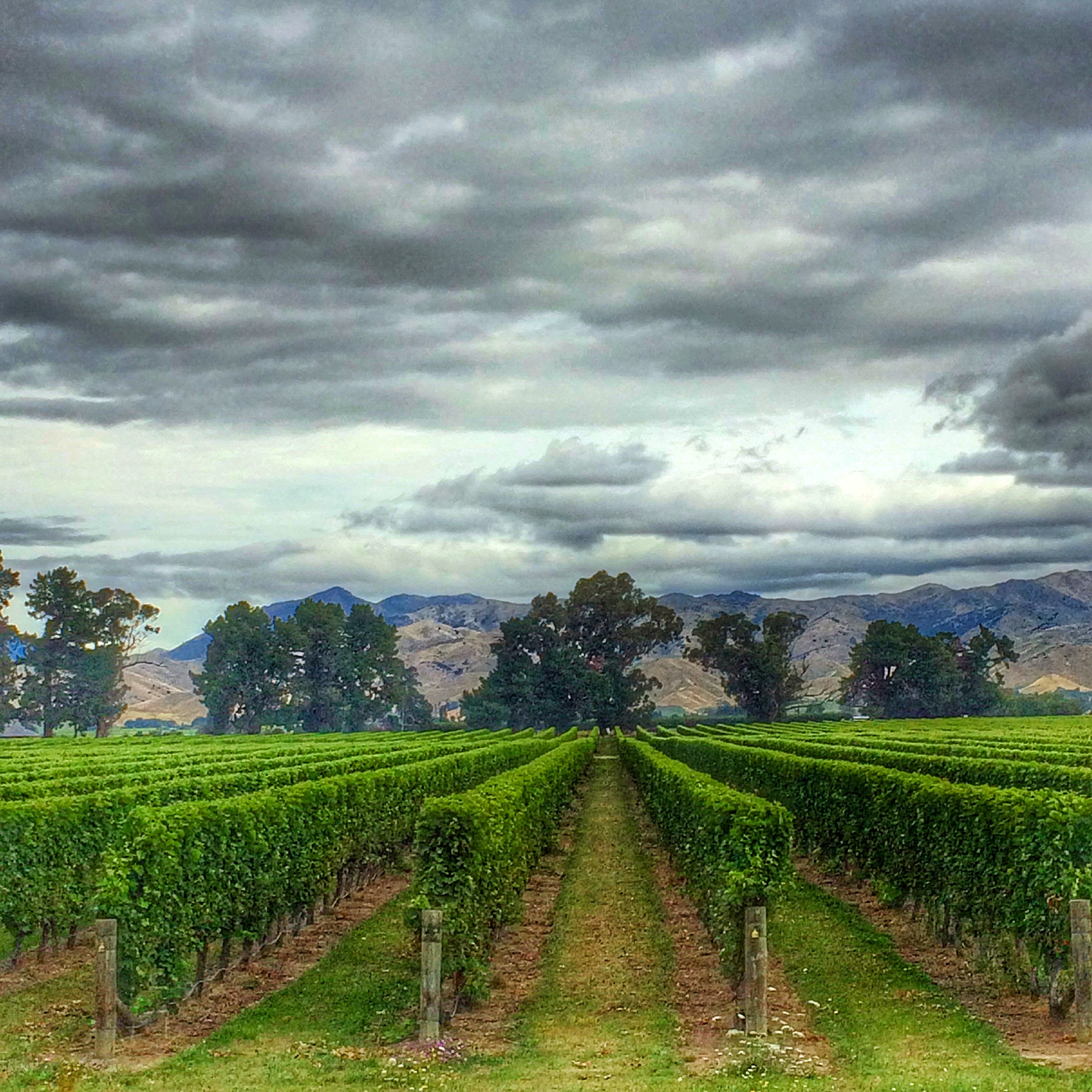 Picton, New Zealand and the Surrounding Area is Worth a Look