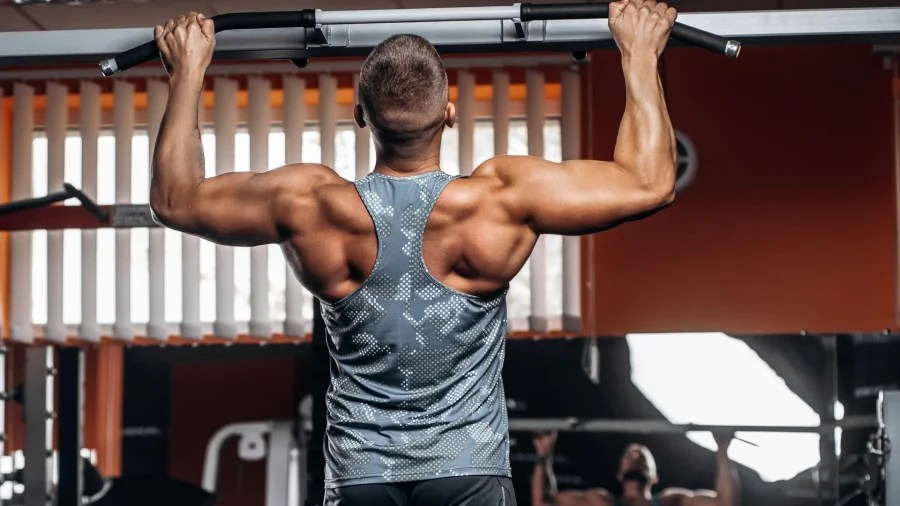 The Best Hypertrophy Back Workout to Add to Your Routine Lee Boyce