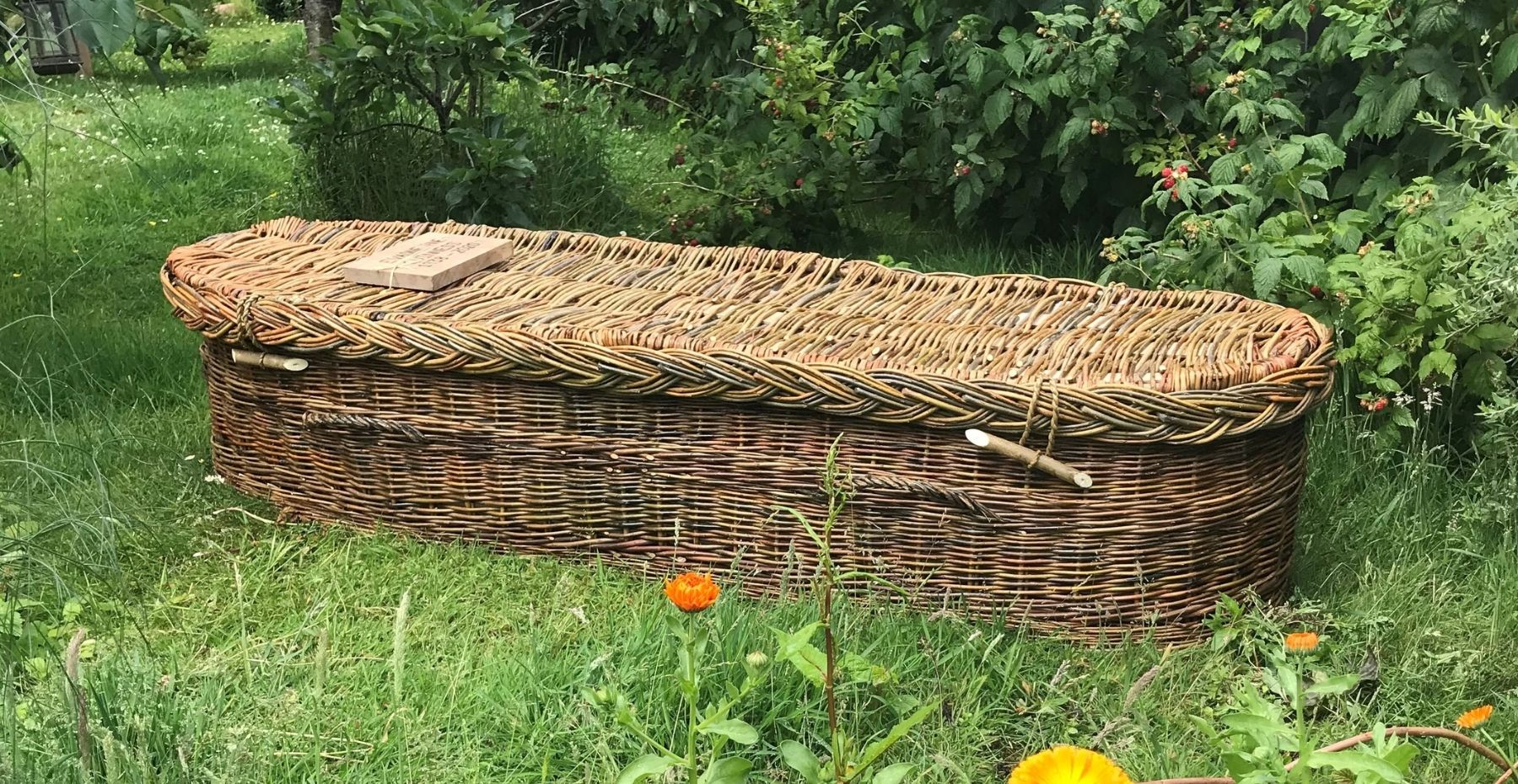Willow Coffin with Wyldwood Willow Leedam Natural Burials