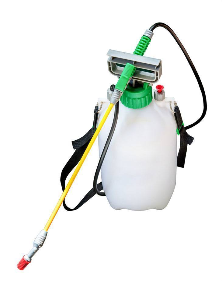 Best Weed Sprayer In 2022 Buyer’s Guide and Review