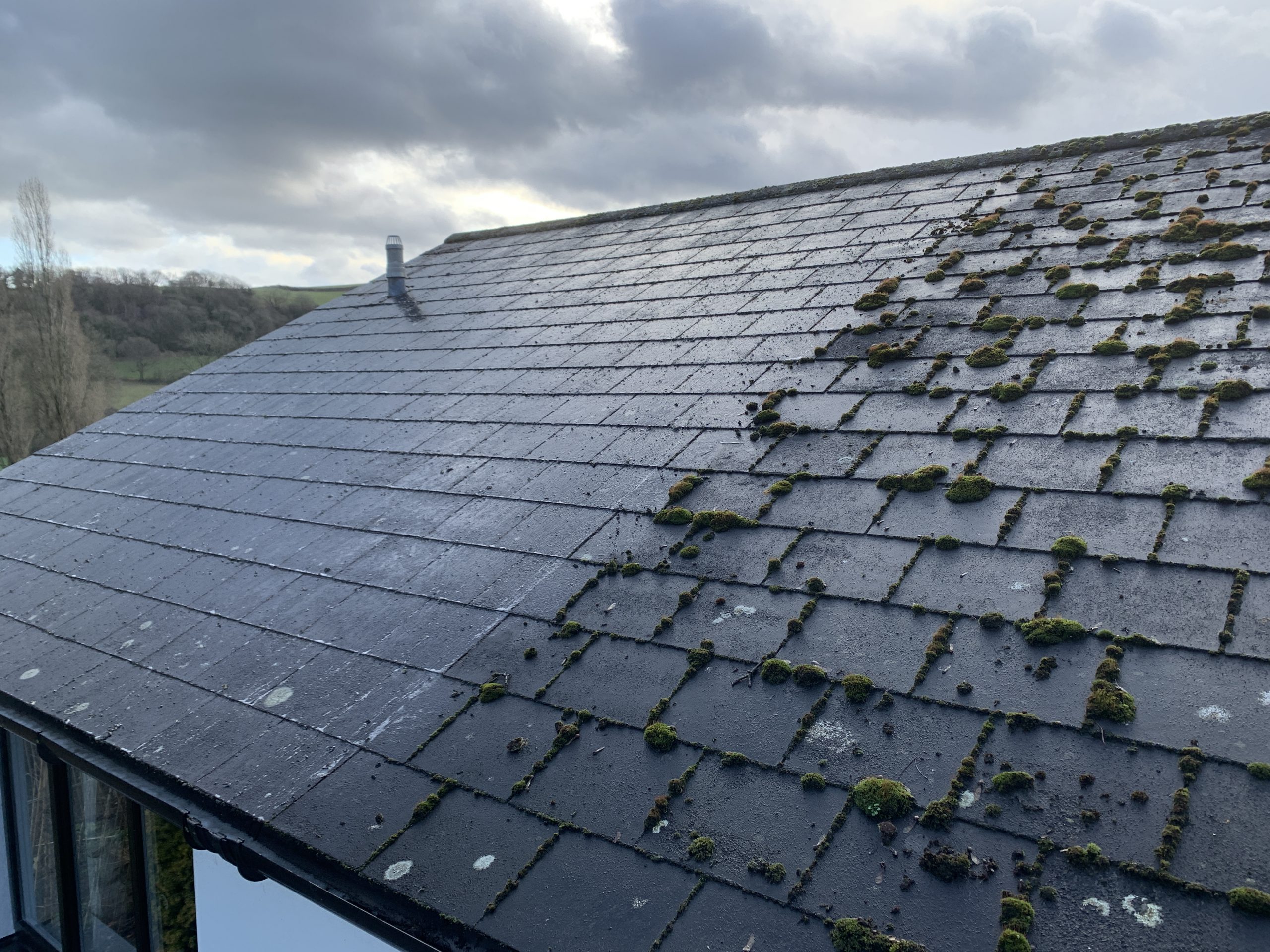 How much does roof cleaning cost in 2020 Leeksons