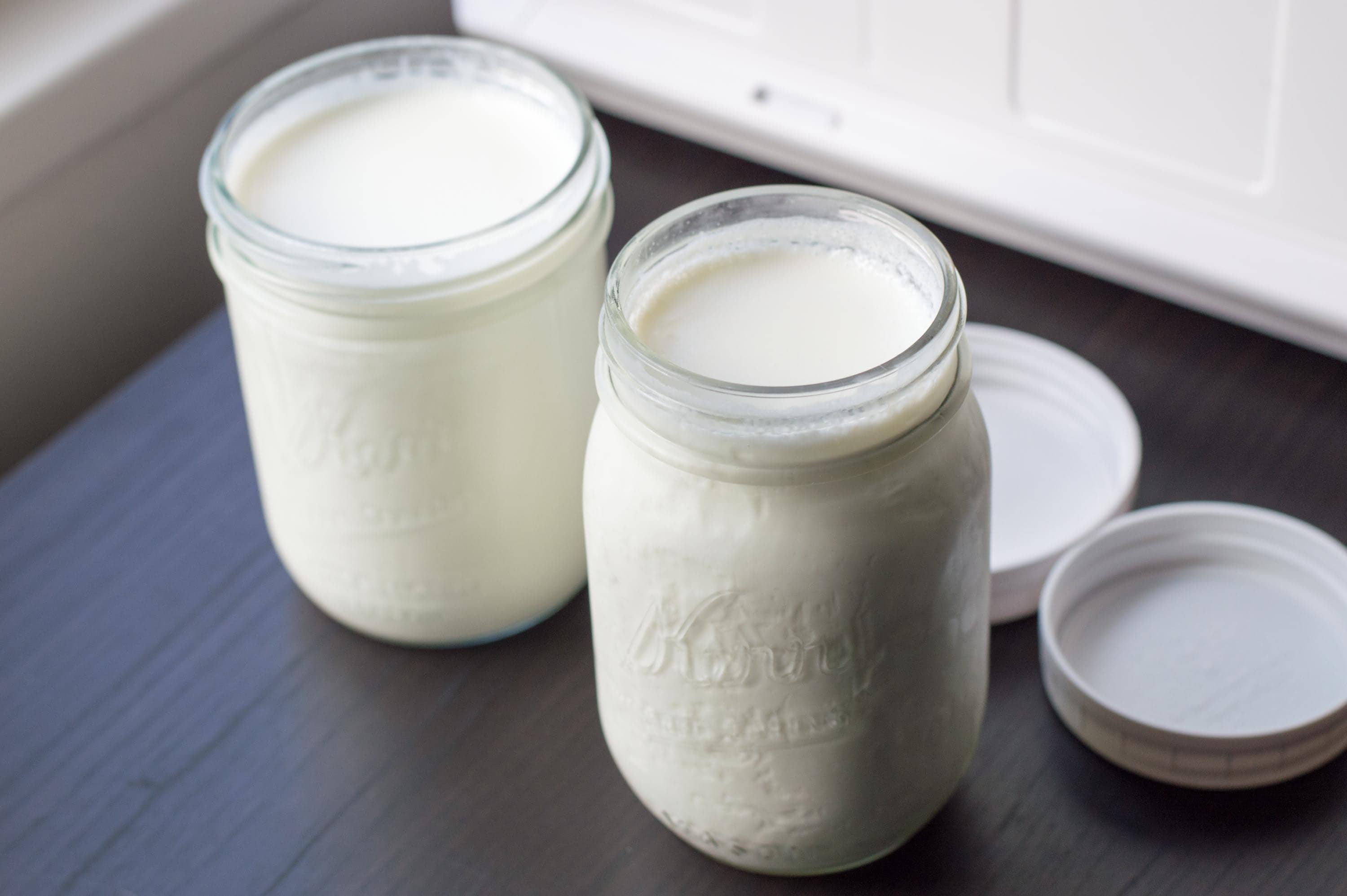 Homemade Plain Yogurt Lefty Spoon