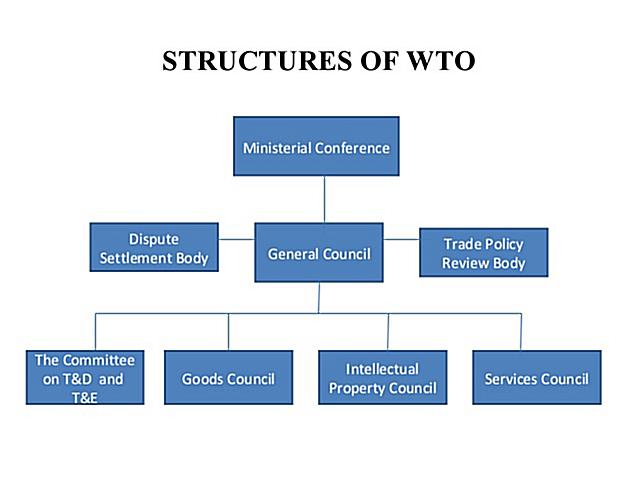 assignment on world trade organisation