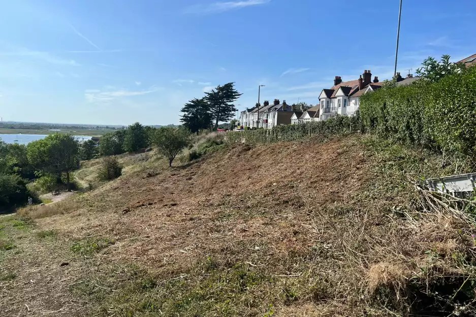 Leigh Cliffs ecological work moves a step closer to completion