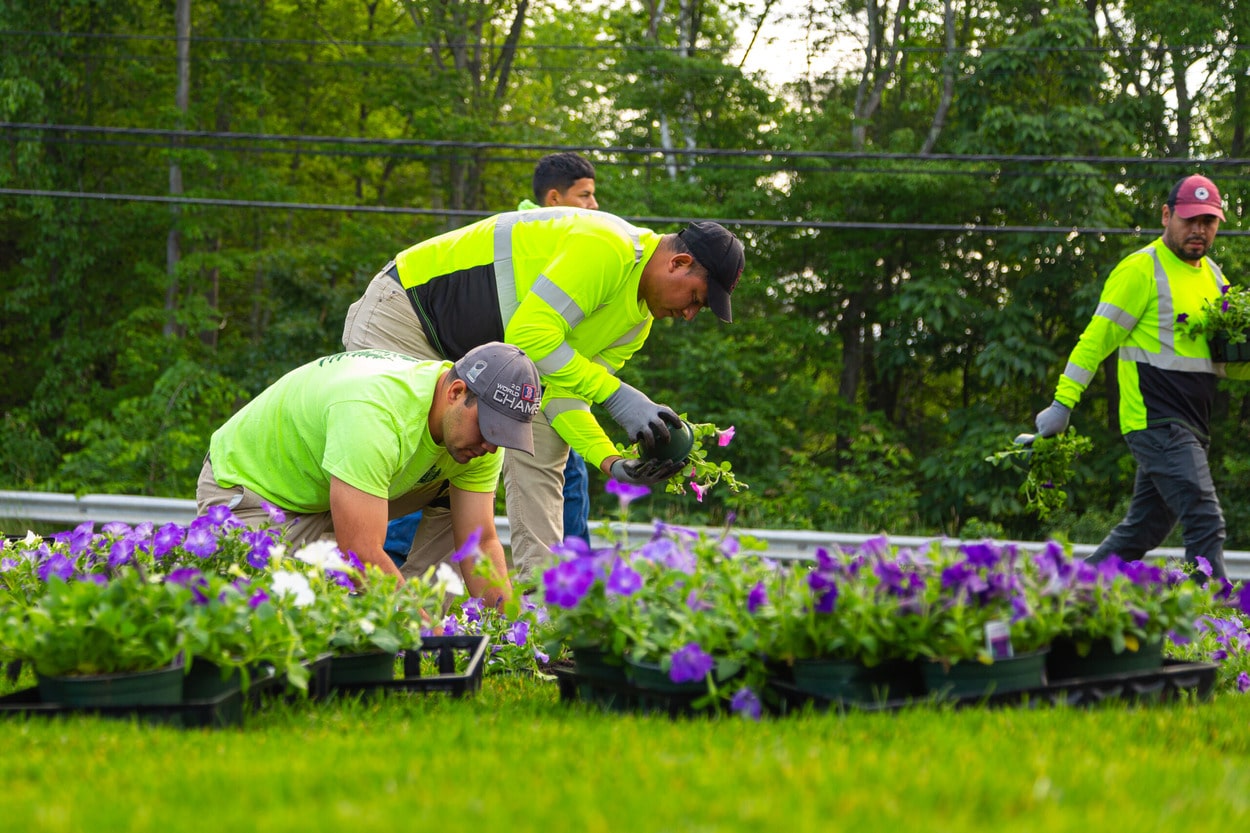 LEI Corporation Professional landscape management solutions, Boylston MA