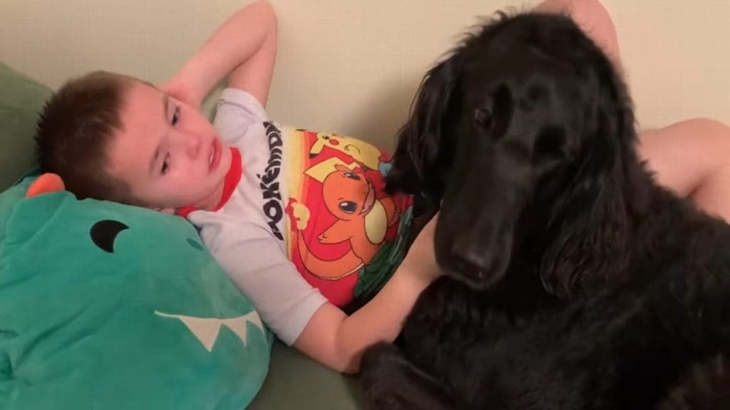 Netflix's Explained Season 3 Episode 4 Recap Man's Best Friend 'Dogs