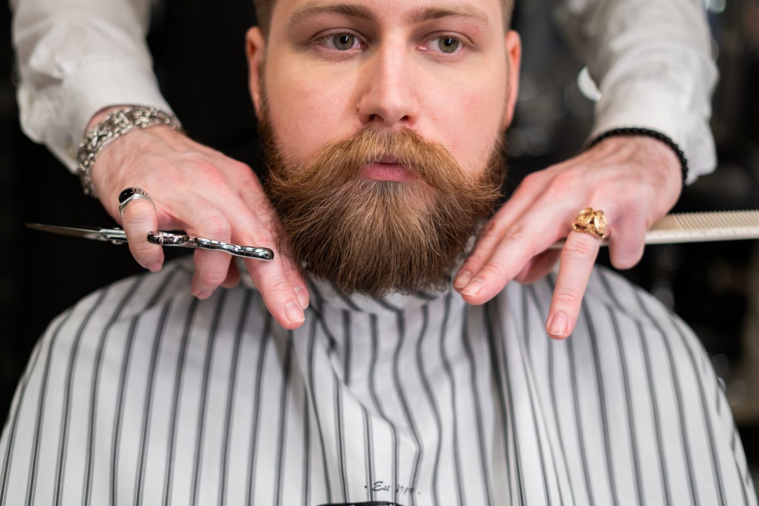 The Ultimate Guide on How To Groom Your Beard LeisureMartini