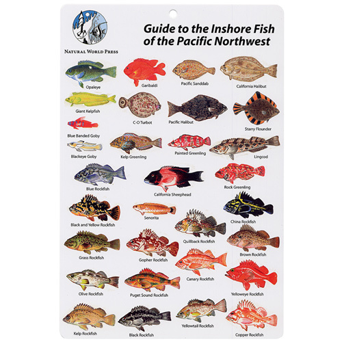Pacific Northwest Inshore Fish I.D. Card