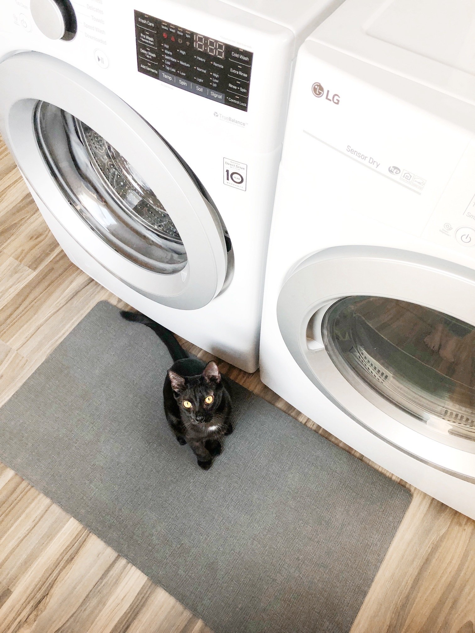 Laundry Room Cat Room Combo Tour Organizedish