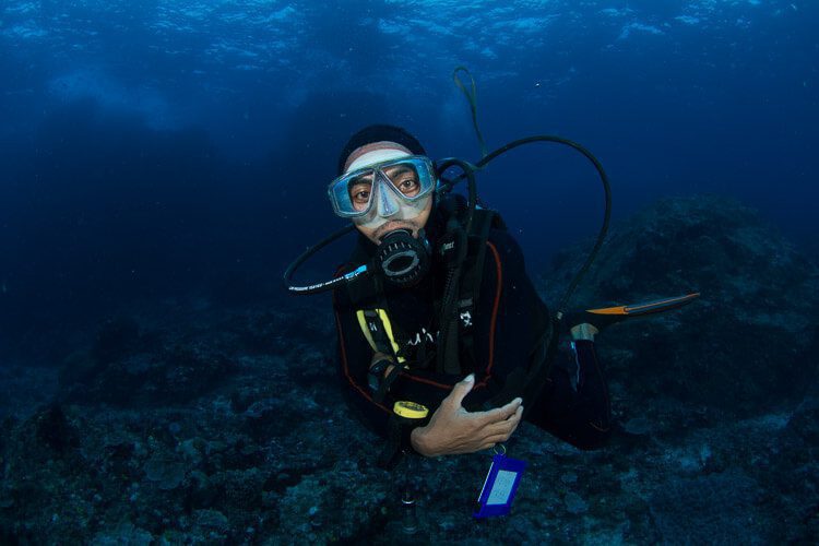 Critters at Lembeh Resort Full Service Dive Center