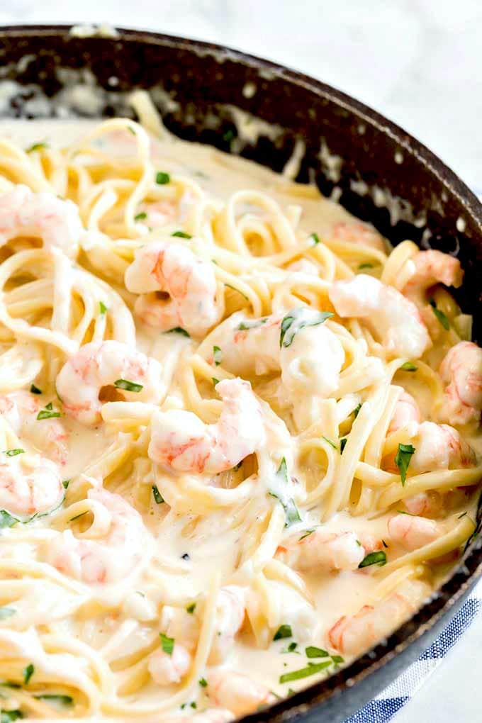 Shrimp Alfredo Recipe Lemon Blossoms