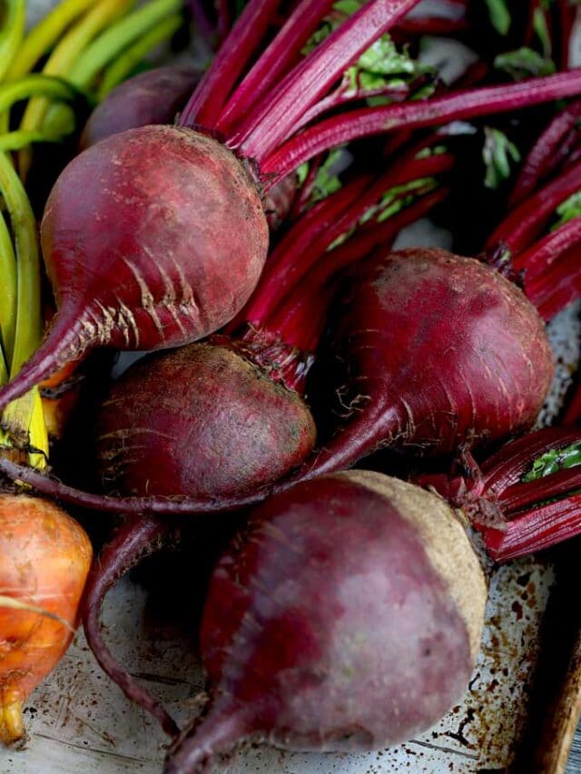 How to Cook Beets (6 Easy Methods) Lemon Blossoms