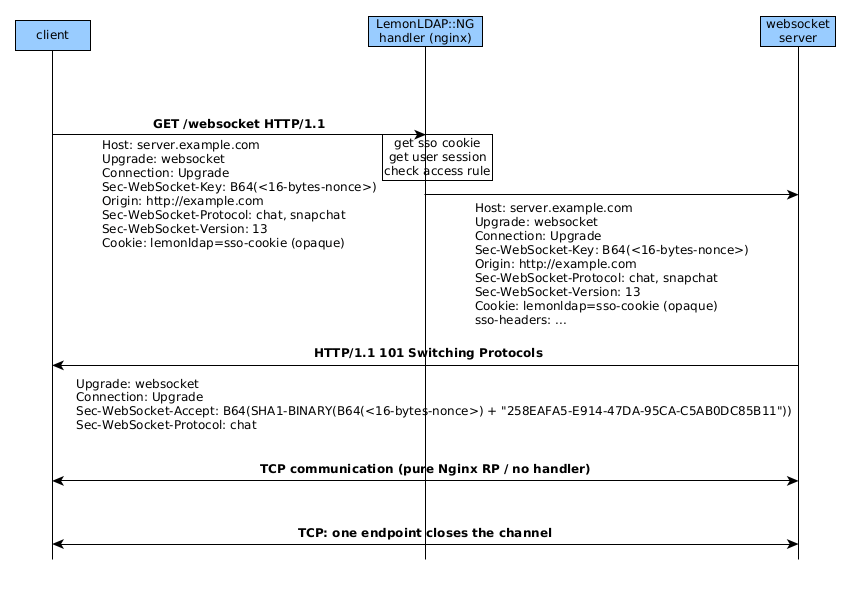 Socket Applications — LemonLDAPNG 2.0 documentation
