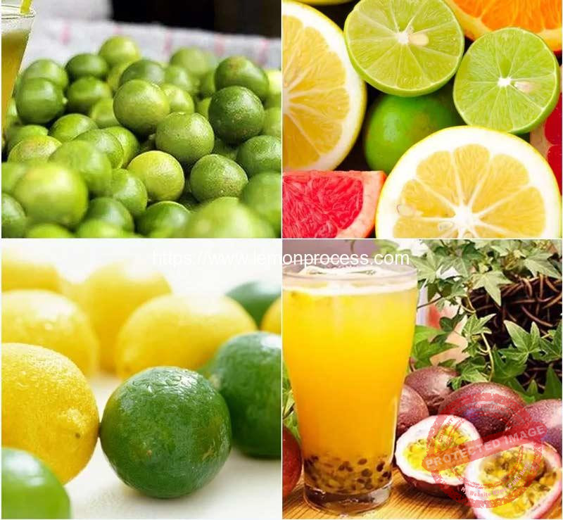 Roller Pressing Type Lemon Juicer Machine Lemon Peeling Machine
