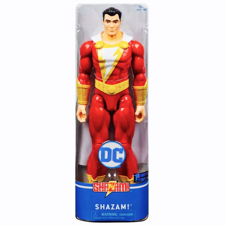 Spin Master Dc Heroes Unite 12Inch Action Figure Assorted Lemony