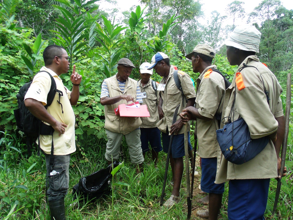 Biodiversity Conservation Madagascar Lemur Conservation Network
