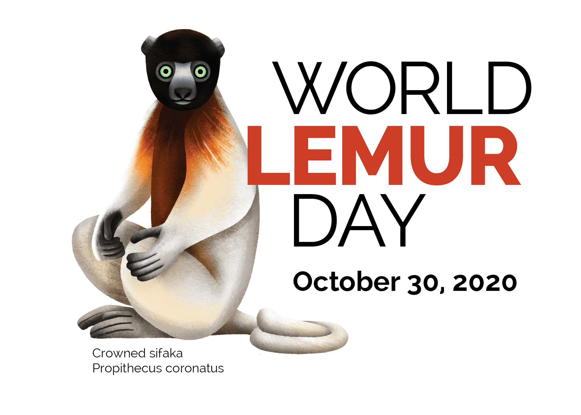 World Lemur Day Friday, October 30, 2020 Lemur Conservation Network