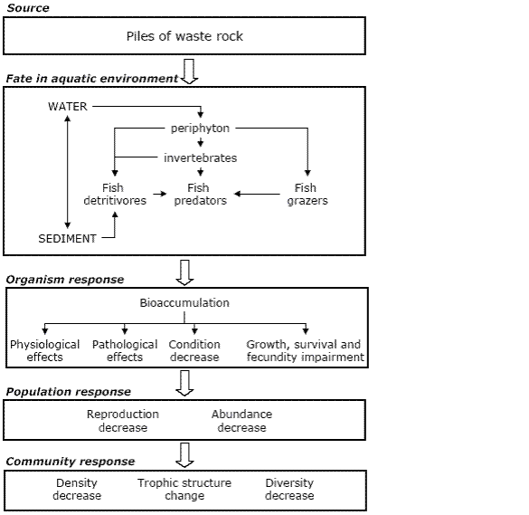 Toxicity of chemicals to aquatic species