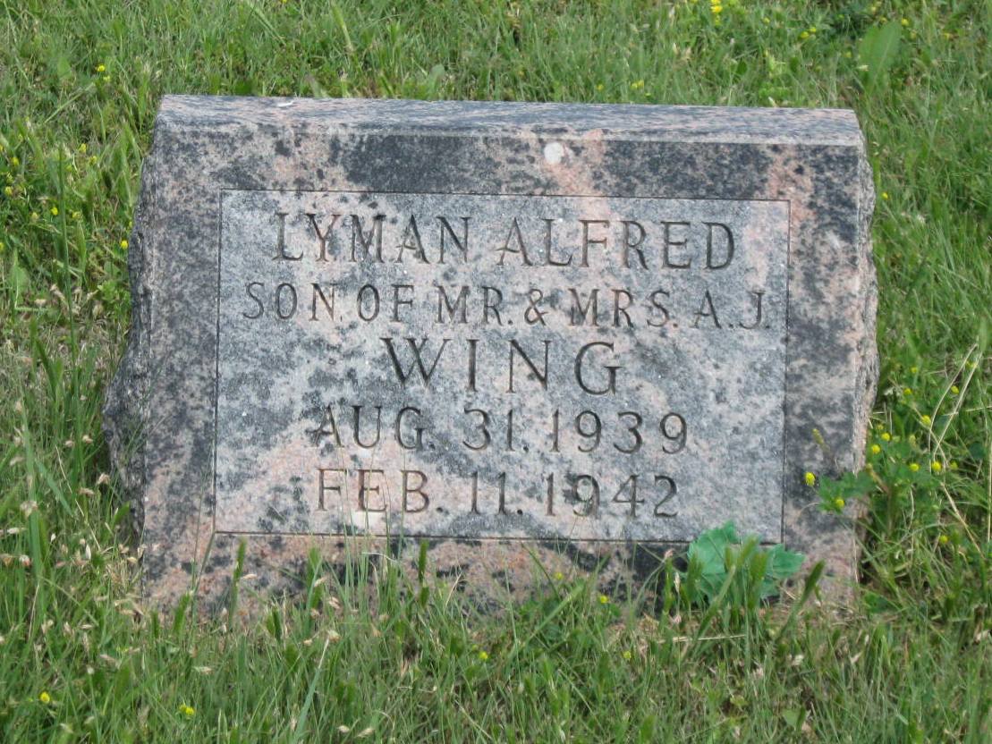 Lenora South Cemetery Records, Page 7 (Letters TZ)