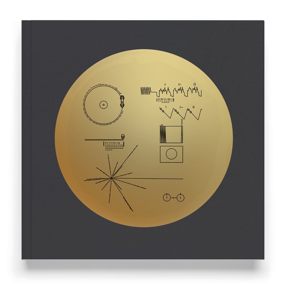 Listen Up! Voyager Golden Record Available
