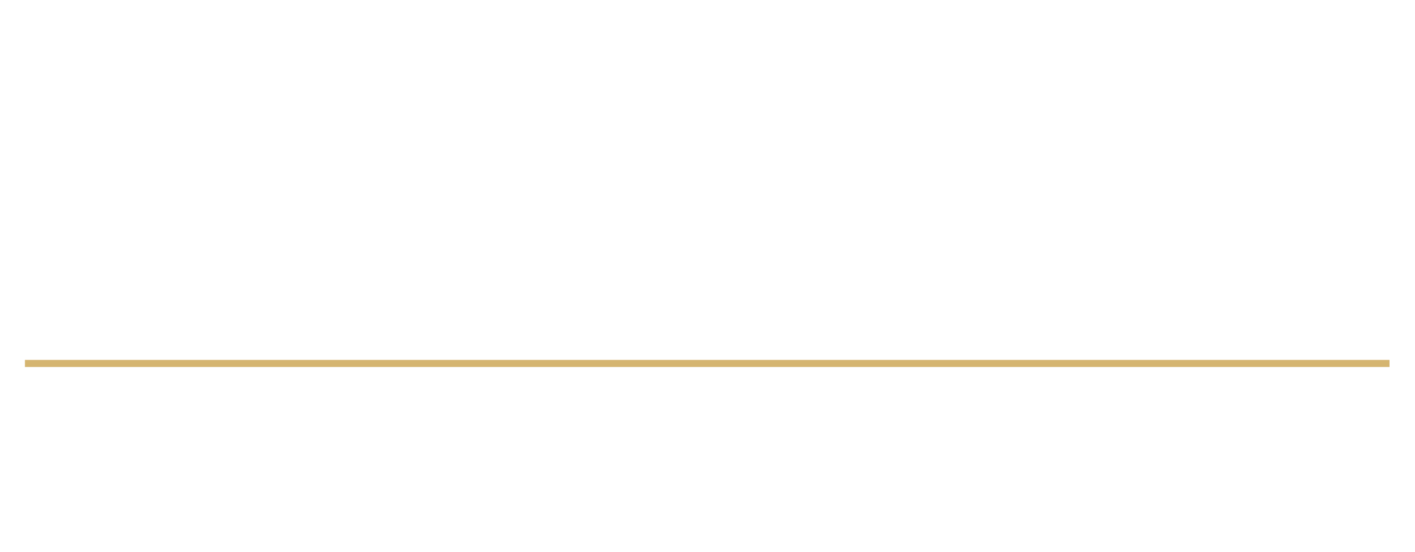Leonardo Partners