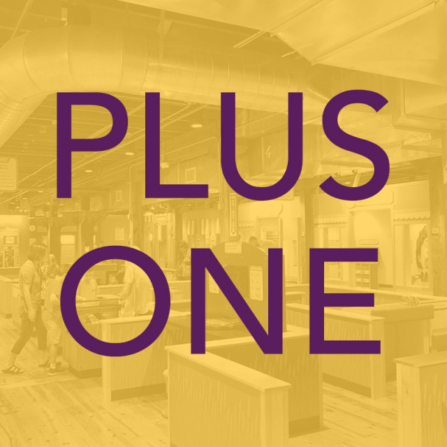 Plus 1 Add-On