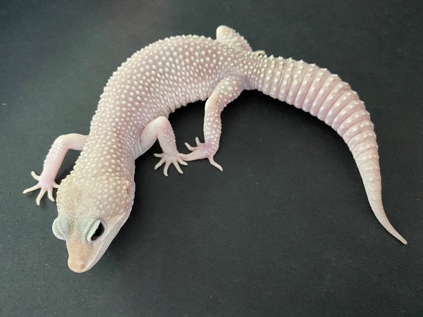 Snows - Rainwaters - Typhoons - Cyclones