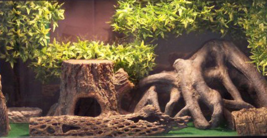 Leopard Gecko Vivarium Lighting and Temperature Setting