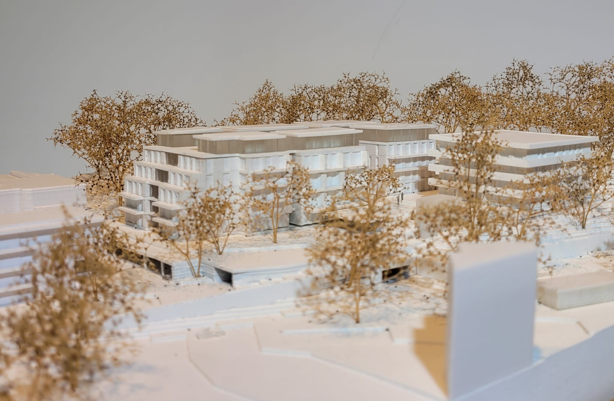 Projekttagebuch Leopold Coburg