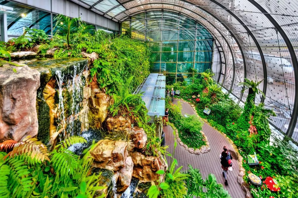 Changi Airport Terminal 3 Outdoor Butterfly Garden LEPL