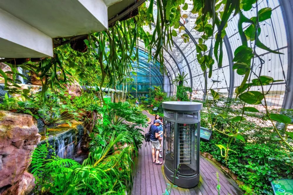 Changi Airport Terminal 3 Outdoor Butterfly Garden LEPL