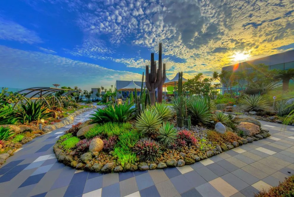 Changi Airport Terminal 1 Outdoor Rooftop Cactus Garden LEPL