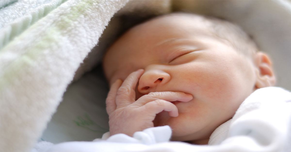 Naissance Le Rheu