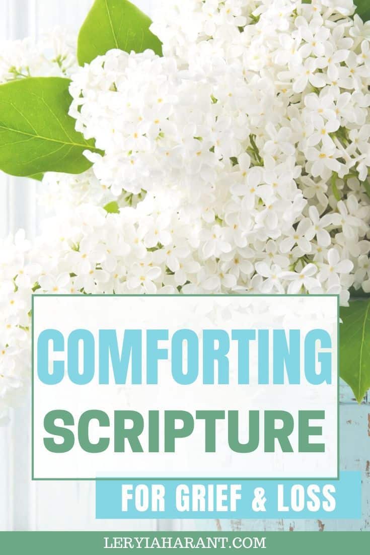 Comforting Bible Verses About Grief and Loss LeRyiah Arant