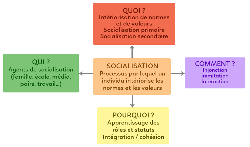 La socialisation étapes et agents SES Seconde Les Bons Profs