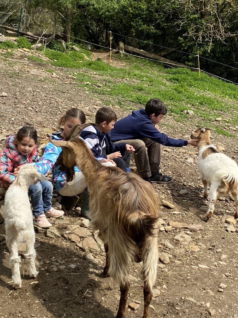 les enfants profitent des animaux de la ferme des Grangettes Chambres et table d'hôtes à Conques Aveyron